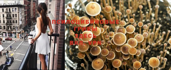 бошки Верхний Тагил