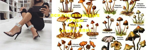 круглые Бородино