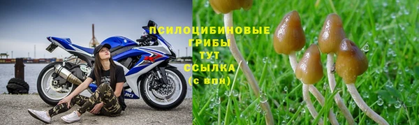 стаф Бронницы