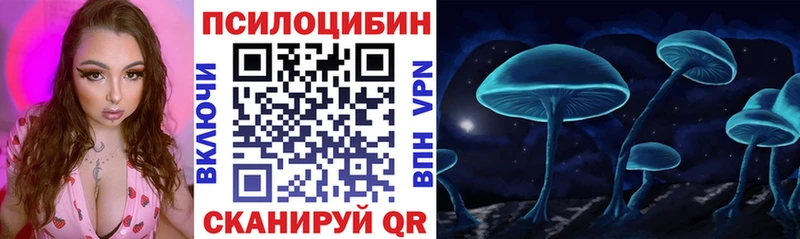 Галлюциногенные грибы Psilocybe  купить наркотики сайты  Голицыно 